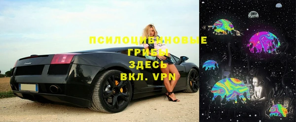 шишки Алзамай