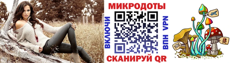 купить наркотик  Шилка  Псилоцибиновые грибы ЛСД 